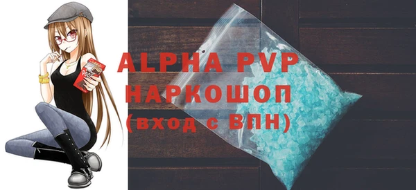 спиды Новозыбков