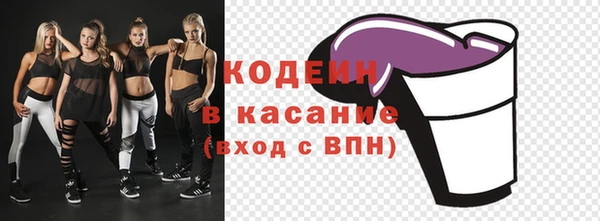 спиды Новозыбков