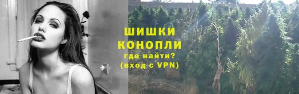стафф Новодвинск