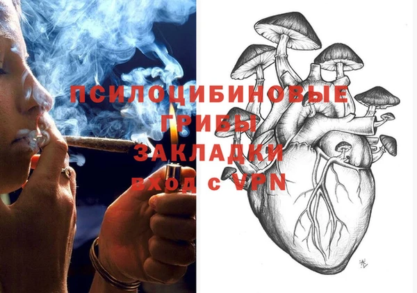 COCAINE Няндома