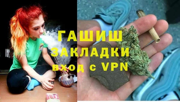 спиды Новозыбков
