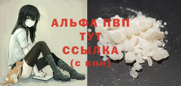 стафф Новодвинск